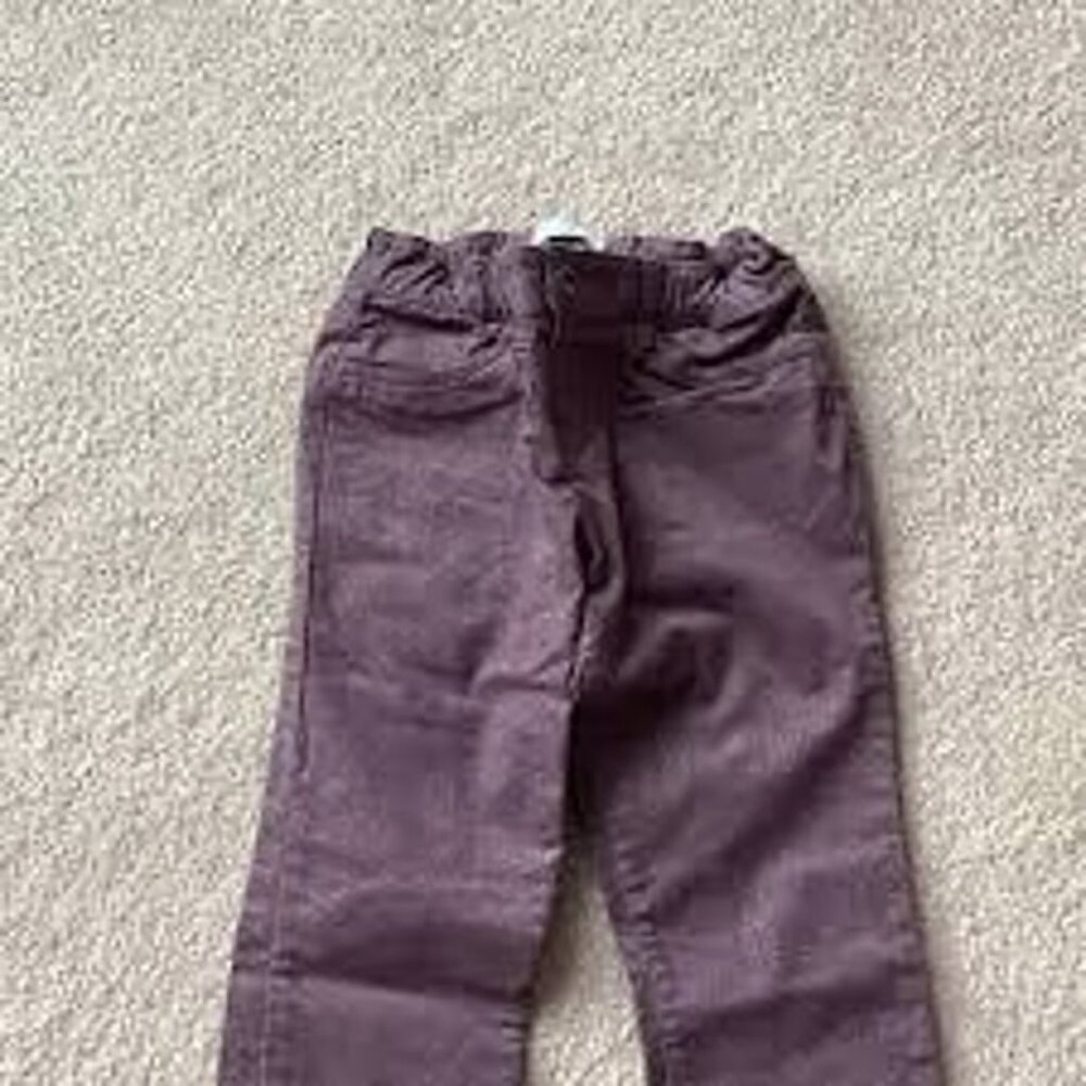 Purple Sparkle pants